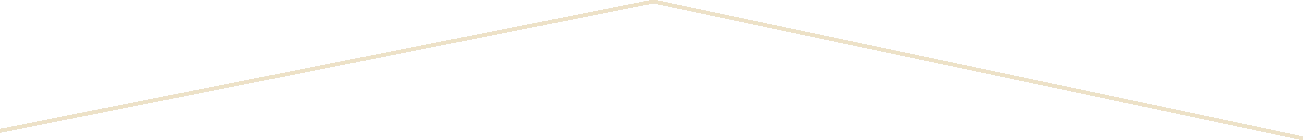Footer shape 2